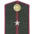 Офицеры, полевые погоны. Командный состав.